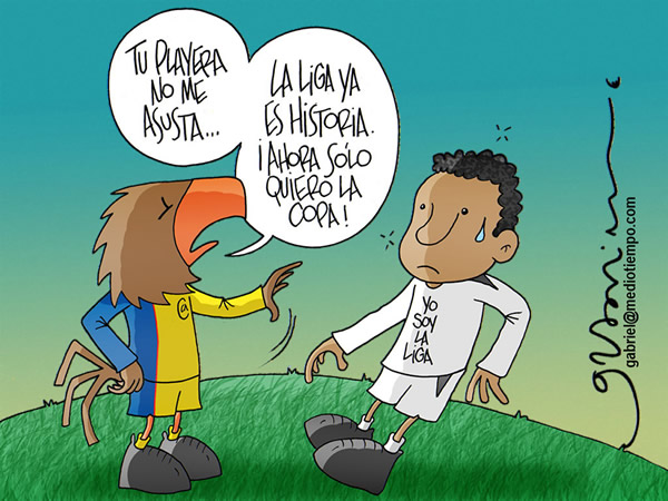 Copa Libertadores, America, LUDQ. Copa Libertadores, America, LUDQ.