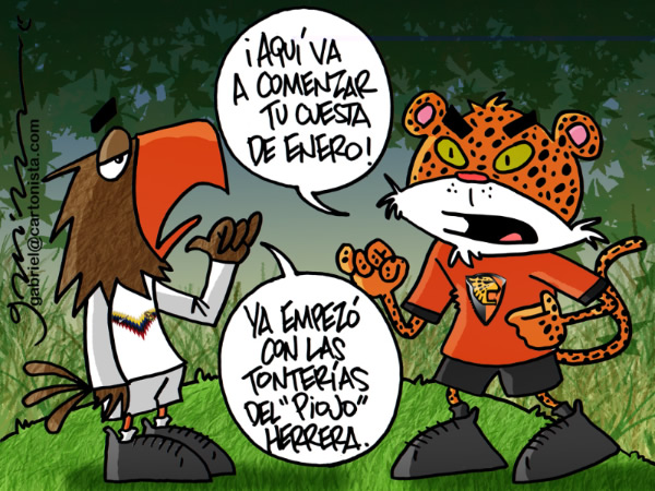 Cuesta de enero