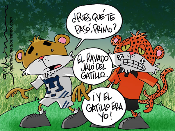 De gatos y gatillos