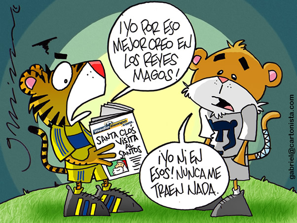 Desilusión felina