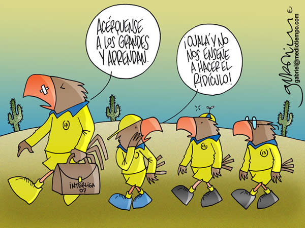 el aguila grande dice a las pequeñas: acerquense a los grandes y aprendan....