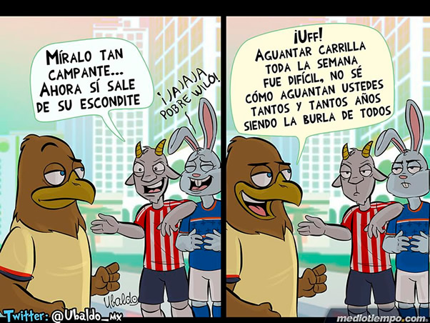 El AME sale a tomar el sol