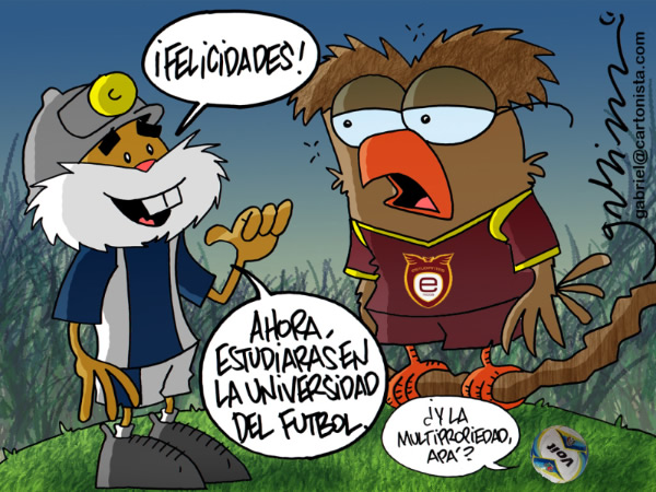 El Becado