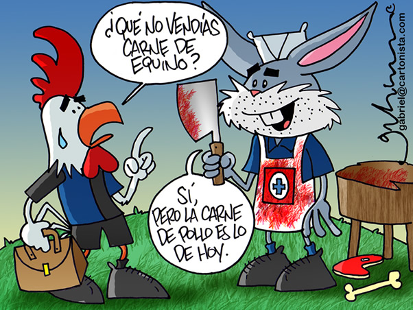 El Conejo busca descuartizar al Gallo