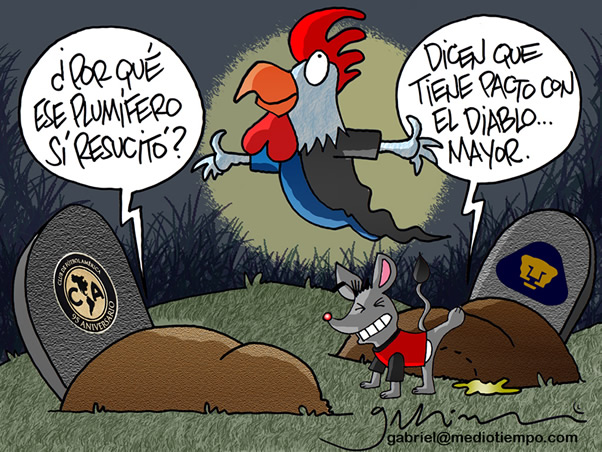 El Gallo Fénix