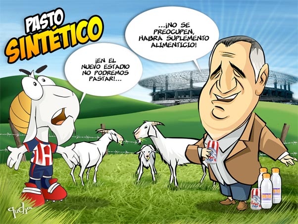 El omniestadio