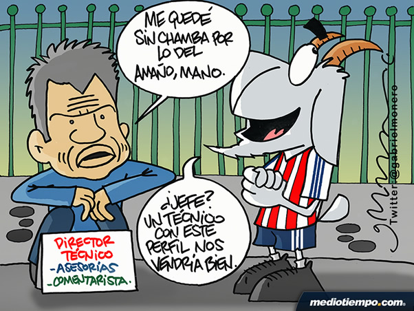 El perfil ideal