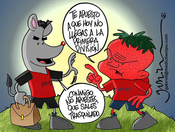 El Profesional