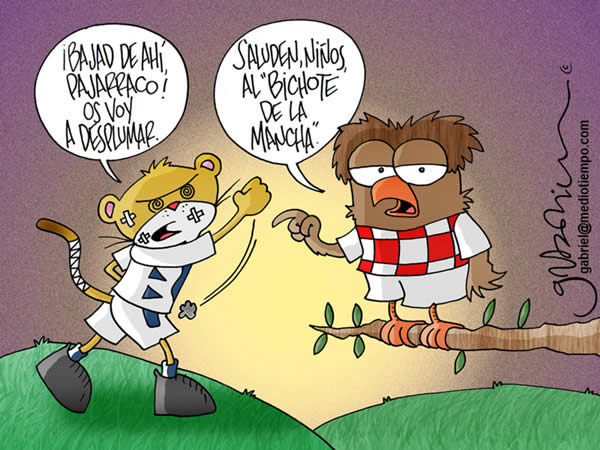 El Puma dice: bajar de ahi pajarraco, te voy a desplumar. El Tecolote...