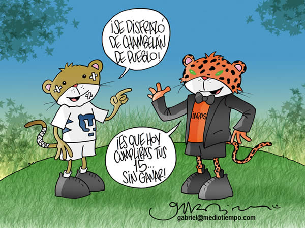 El Puma dice: te disfrazaste de chambelán de pueblo! El Jaguar el contesta:...