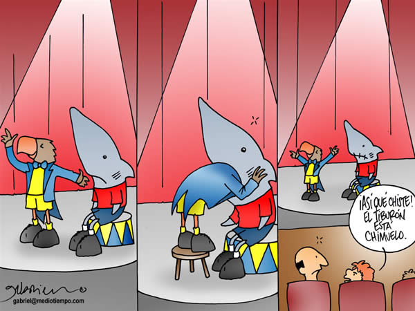El tiburon chimuelo El tiburon chimuelo