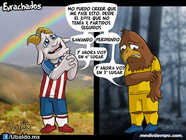 Enrachados