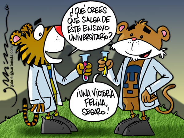 Ensayo Universitario