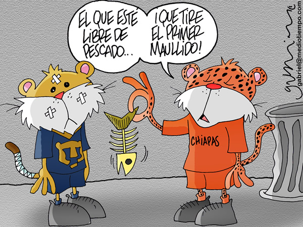Entre gatitos
