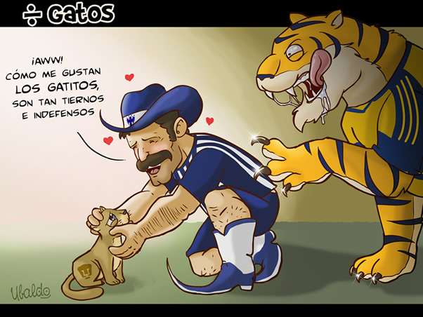 entre gatitos