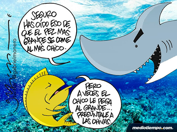 Entre peces
