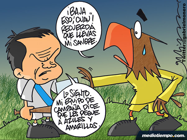 Equipo de campaña