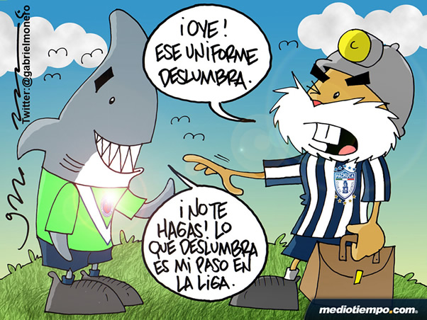 Escualo deslumbrante