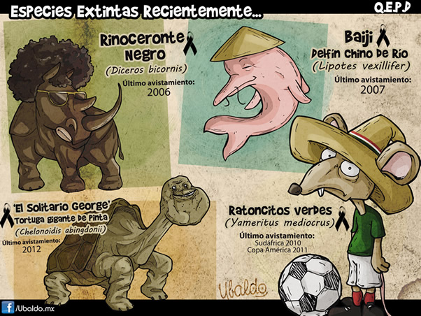 Especies extintas recientemente| Mediotiempo