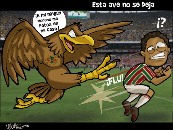 Esta ave no se deja