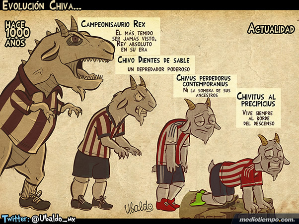Evolución Chiva
