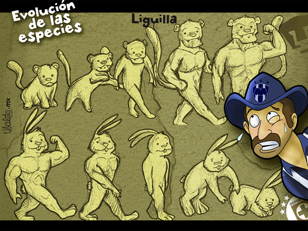 Evolución de las especies