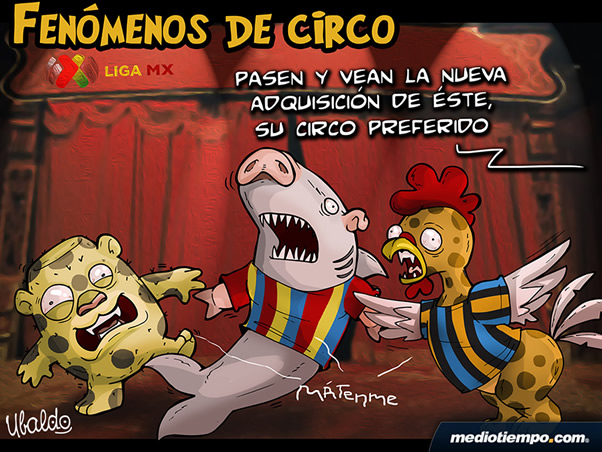 Fenómenos de circo