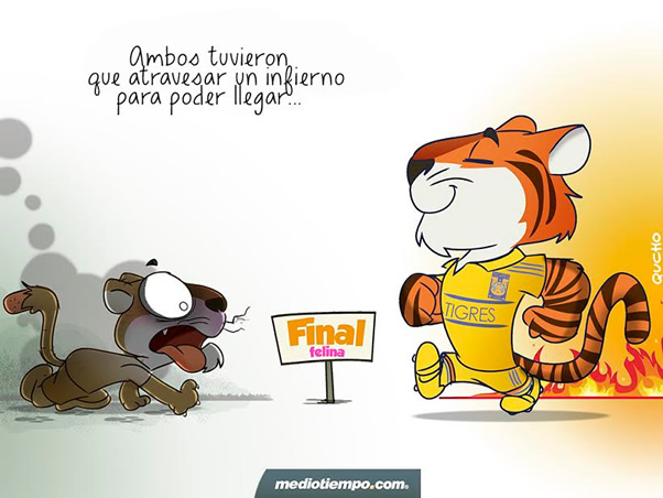 Final felina