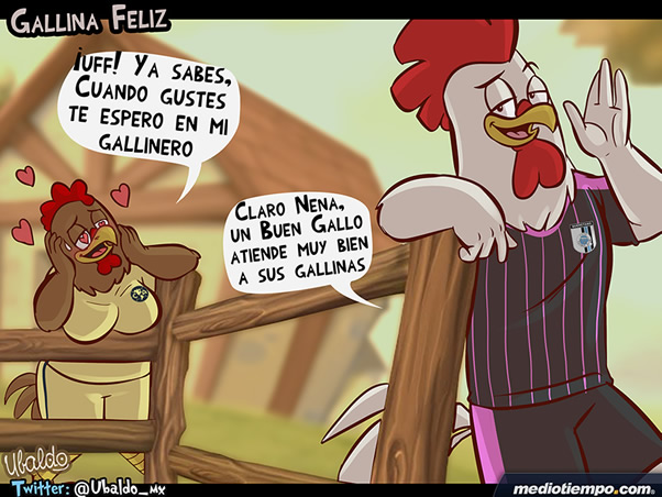 Gallina feliz