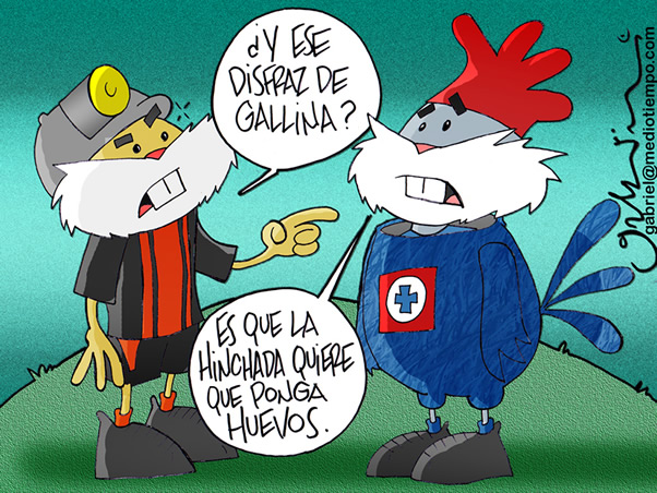 Gallinita azul