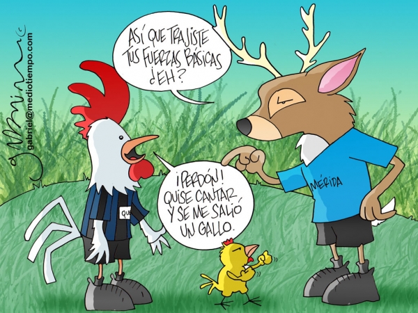 Gallito