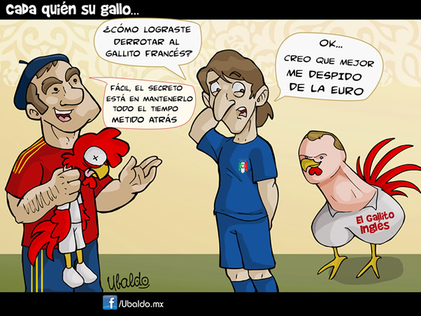 Gallito inglés