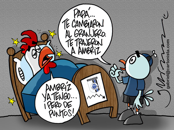 Gallo con Ambríz