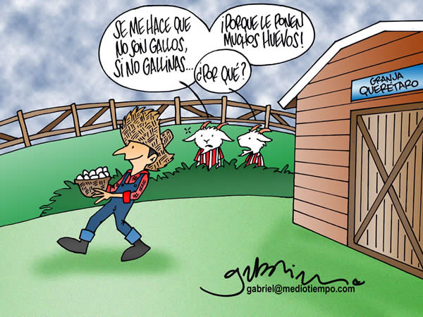 ¿Gallos o Gallinas? ¿Gallos o Gallinas?
