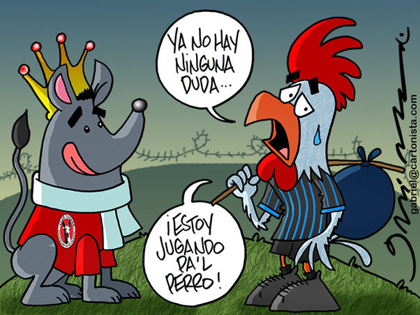 Gallos pa'l perro