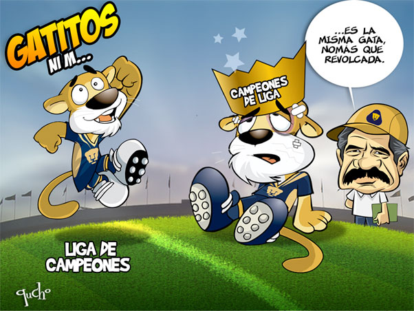 Gatitos ni m...