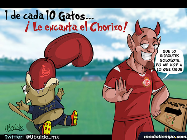 Gato goloso