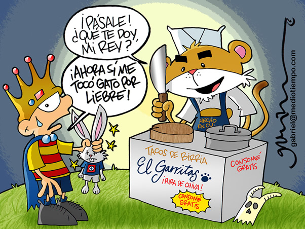 Gato por liebre