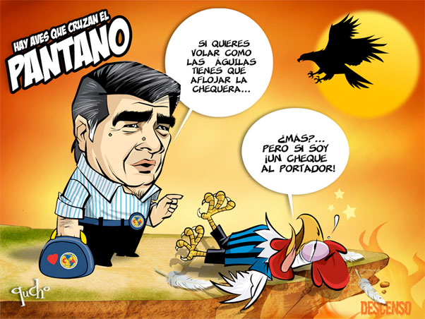 Hay aves que cruzan el pantano