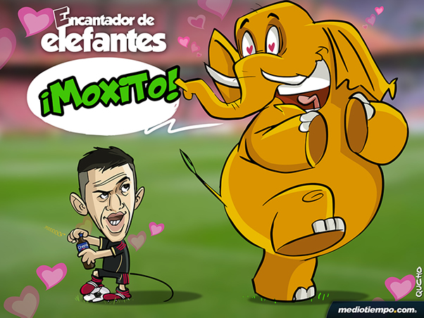 Hermoso ratón