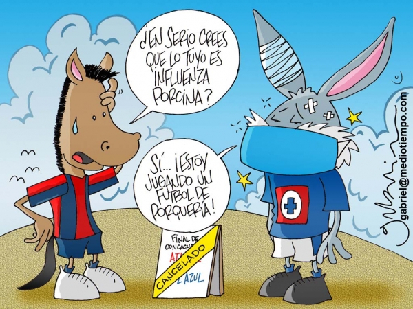 Influenza Porcina