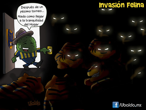 Invasión felina
