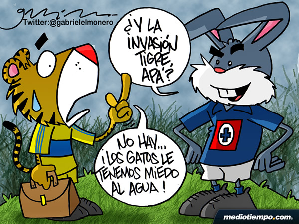 Invasión Tigre