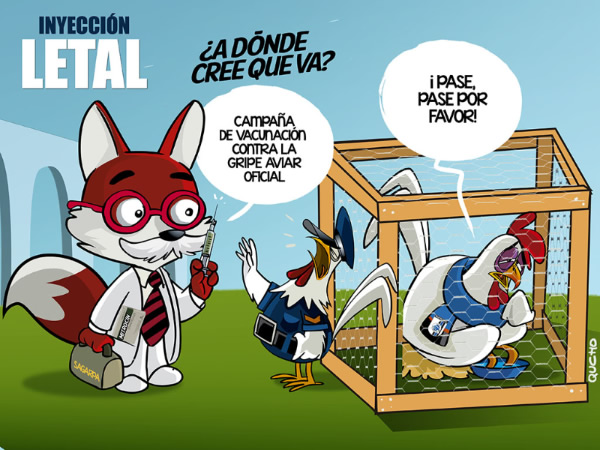 Inyección letal