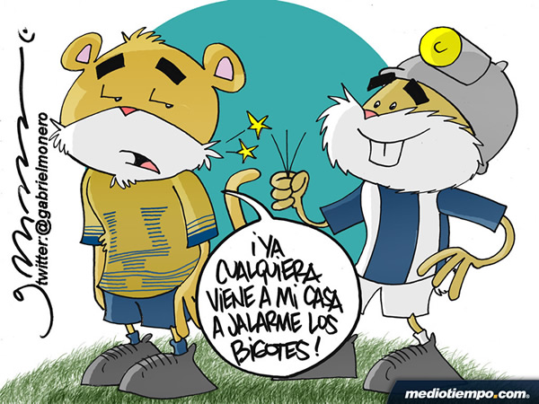 Jalón de bigotes