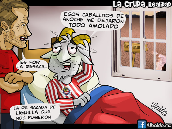 La cruda de Chivas