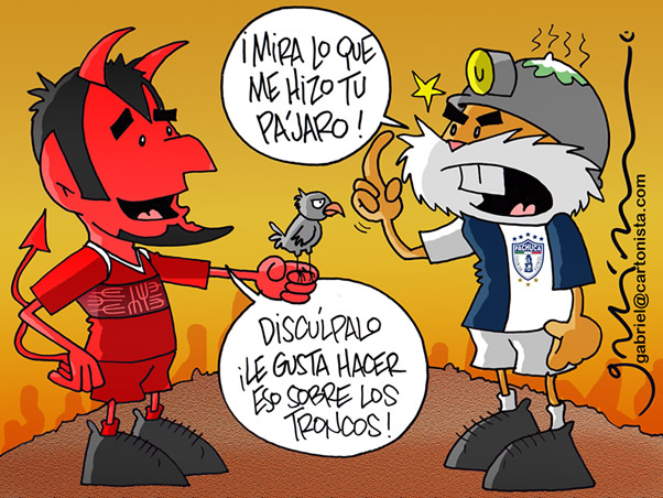 La gracia del Pájaro