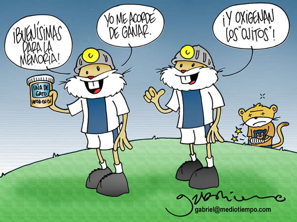La uña de gato es buena para la memoria La uña de gato es buena para la memoria