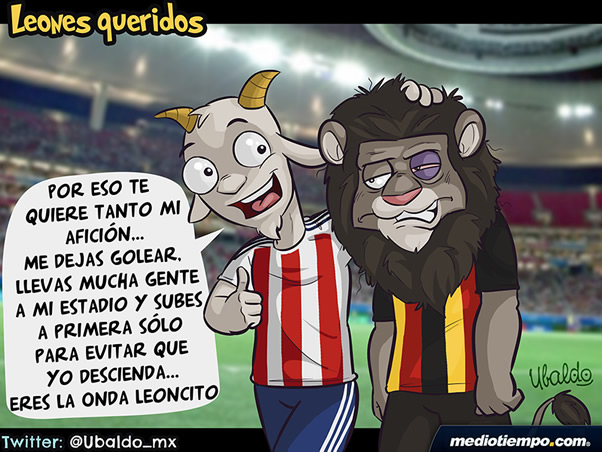 Leones queridos