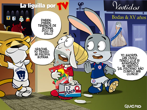 Liguilla por TV